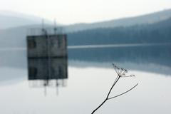 Vápnění přehrady