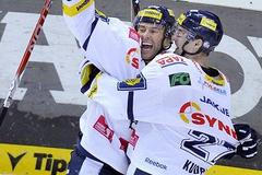 Bílí Tygři Liberec, Petr Nedvěd