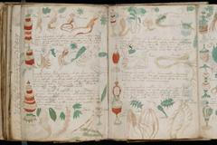 voynichův manuskript15