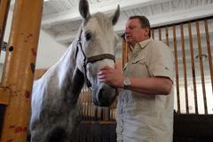 Favory Alta, hřebec pro prince