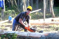 Blokáda dřevorubců na Šumavě