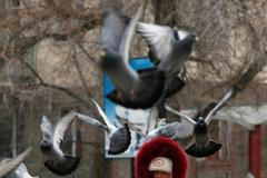 Momentky z Bajkonuru