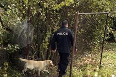 Pátrání po Aničce