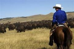 Krajina v Jižní Dakotě