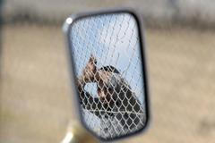 Nejlepší snímky měsíce - únor