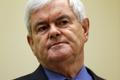 USA - republikánští kandidáti na prezidenta - Newt Gingrich
