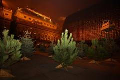 Druhá šance pro vánoční stromky