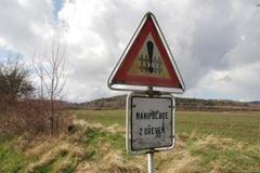 český jazyk dřevo značka