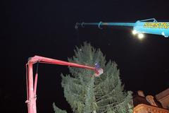 Ukotvení vánočního stromu