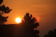 Dokumentujeme.cz - Pozdní léto