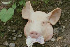 Vše pro dobro světa a Nošovic