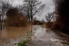 Berounka v Radotíně (14. ledna 2011)