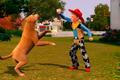 The Sims 3: Pets