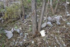 Spolchemie Ústí nad Labem