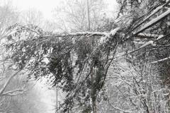 Sněhová bouře v USA