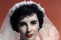 Elizabeth Taylor 1950
