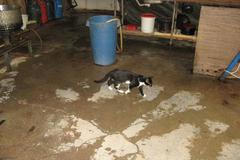 Nelegální výroba tofu v Brně