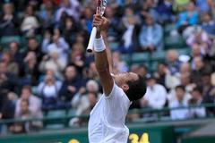 Wimbledon 2011: Tsonga (radost)