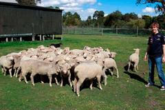 Poslední dny volna jezdců formule 1: Vettel