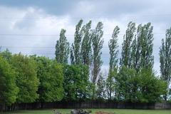 Safari Dvůr Králové