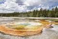 Yellowstone