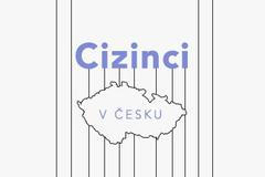 Cizinci v Česku