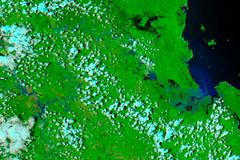 Australská zkáza z ptačí perspektivy