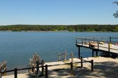 Velký bolevecký rybník