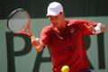 French Open: Berdych - Roberts