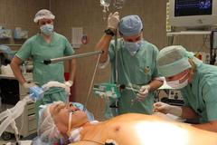 Transplantace jater 08