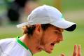 Wimbledon 2011: Murray - Nadal