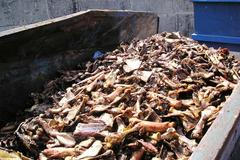 Největší evropská bioplynová stanice ve Velkém Karlově na Znojemsku