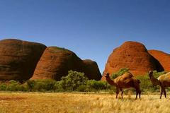 Nejlepší snímky měsíce dubna