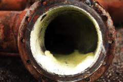 Koksovna Jan Šverma