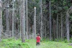 Blokáda dřevorubců na Šumavě