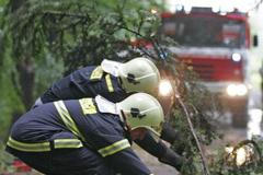 Hasiči odstraňují stromy padlé při bouřce
