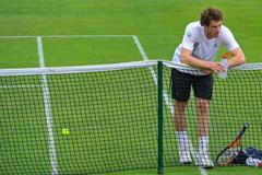 Wimbledon 2011 - Andy Murray