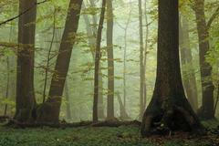 Nové položky na seznamu světového dědictví UNESCO