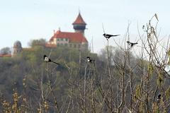 Exkurze do lomu ČSA