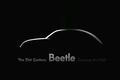 VW New Beettle 2011