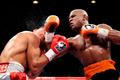 Mayweather vs Ortiz