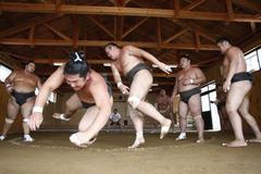 Japonští sumo na "letním táboře"