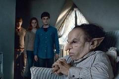 Harry Potter a Relikvie smrti - část 2