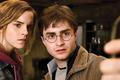 Harry Potter a Relikvie smrti - část 2