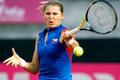 Fed Cup: Šafářová