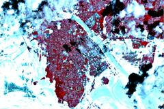 Australská zkáza z ptačí perspektivy