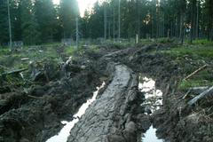 Koleje v Modravě v Národním parku Šumava