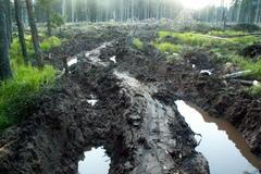 Koleje v Modravě v Národním parku Šumava