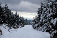 Kde hledat přírodní sníh? Začněte v 900 m.n.m.