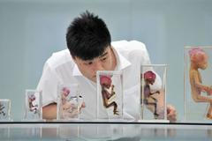 Plastinace lidských a zvířecích těl v Číně